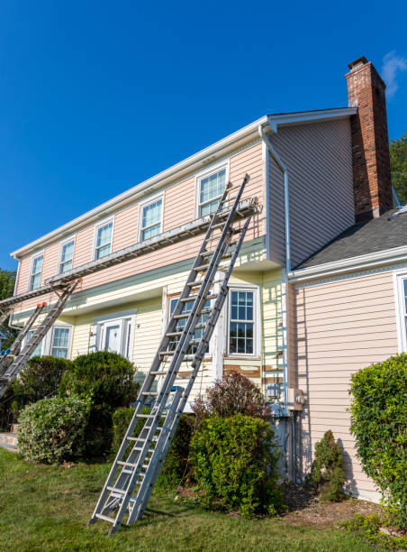 Best Basement Cleanout  in Hampton, VA